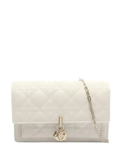 Pre-owned Dior 2010s Daily Canage Chain Leather Wallet In Neutral