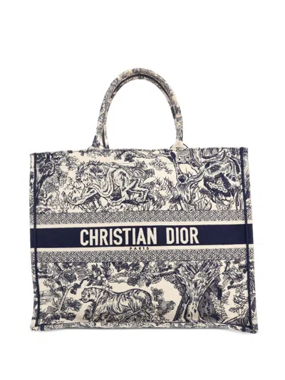 Pre-owned Dior 2010s  Book Tote Bag In 蓝色