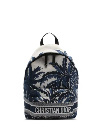 Pre-owned Dior 2010s  Palms Backpack