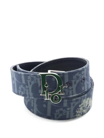 Pre-owned Dior 2010s  Tears Canvas Belt In Blue