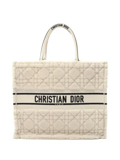 Pre-owned Dior 2010s Large Book Tote Bag
