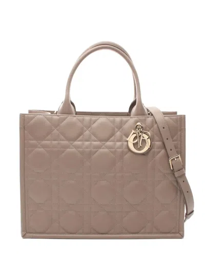 Pre-owned Dior 2010s Medium Book Tote Two-way Handbag In Neutrals
