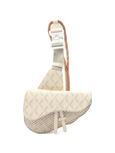 Pre-owned Dior 2010s Nautic Saddle Bag In Neutral