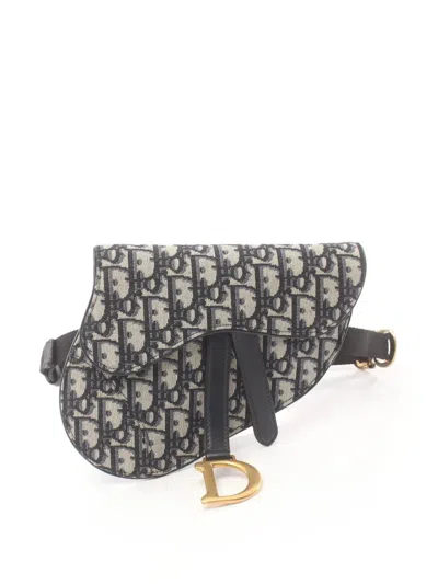 Pre-owned Dior 2010s Saddle Belt Bag In Neutrals