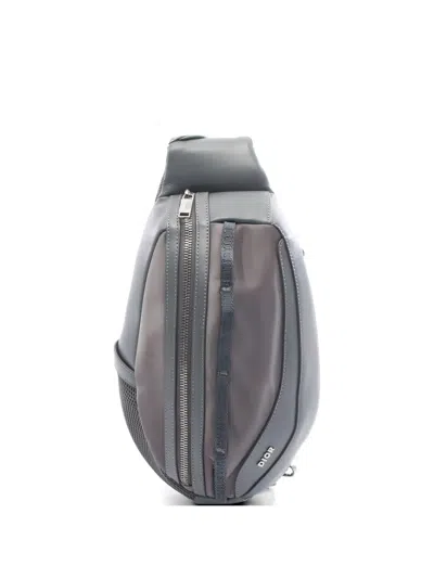 Pre-owned Dior 2010s Scarab Leather Belt Bag In Gray