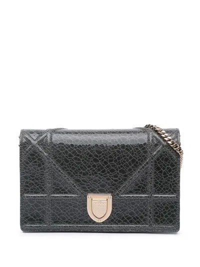 Pre-owned Dior 2016 Ceramic Effect Deerskin Ama Wallet On Chain Crossbody Bag