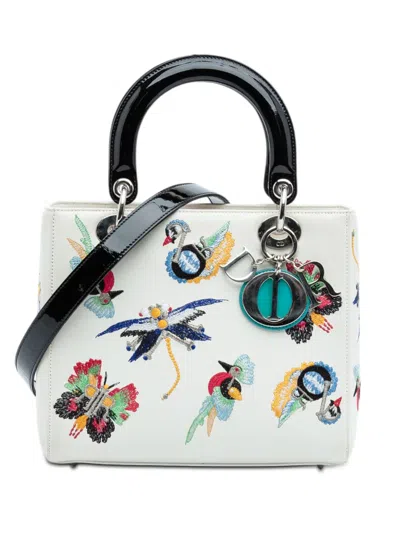 Pre-owned Dior 2016 Medium Smooth Calfskin Embroidered Beaded Animals Lady  Satchel In Multi