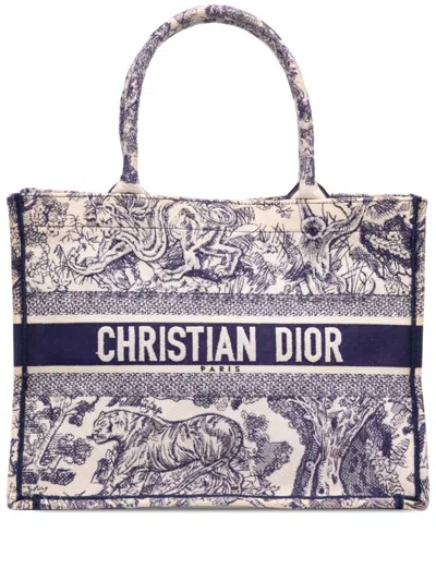 Pre-owned Dior 2019 Medium Canvas Embroidered Iviera Toile De Jouy Book Tote Bag In Blue