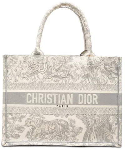 Pre-owned Dior 2020 Medium Canvas Embroidered Iviera Toile De Jouy Book Tote Bag In Grey