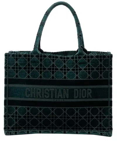 Pre-owned Dior 2020 Medium Embroidered Velvet Cannage Book Tote Bag In Green