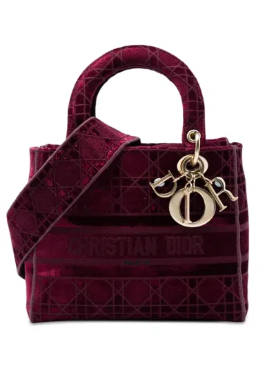 Pre-owned Dior 2020 Medium Embroidered Velvet Cannage Lady D Lite Satchel In Red