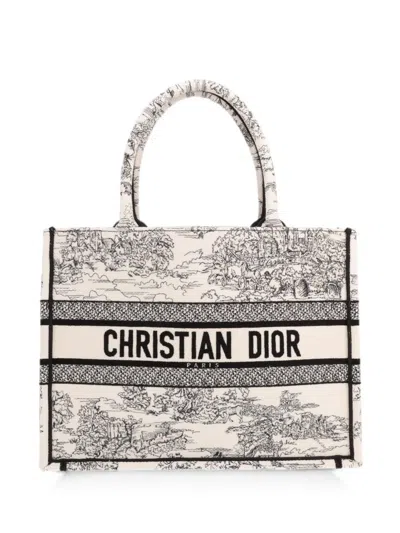 Pre-owned Dior 2020s Medium Book Tote Oblique Monogram Tote Bag In Neutrals