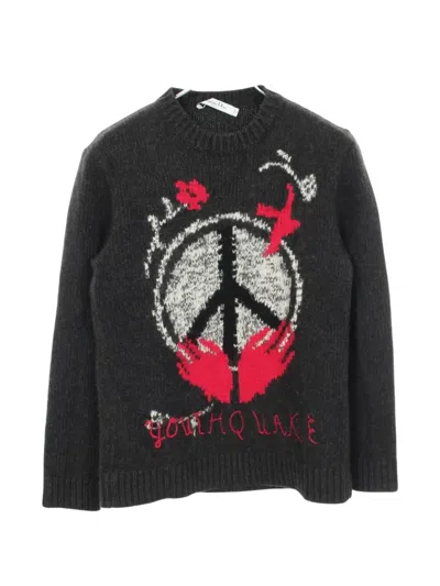 Pre-owned Dior 2020s Youthquake Long-sleeve Sweater In Grey