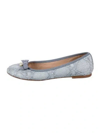 Pre-owned Dior 2023 Patterned Ballet Flats In Blue