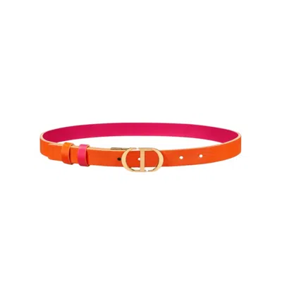 Dior 30 Montaigne Fine Full Belt In Ange Multi