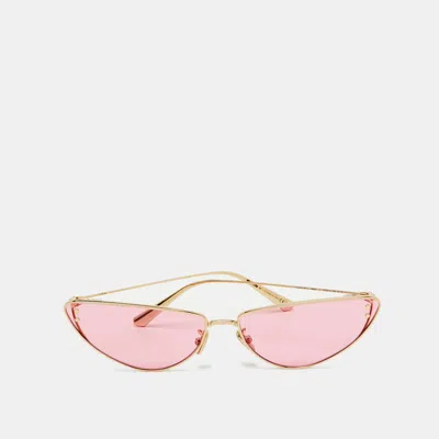 Pre-owned Dior B1u Cat-eye Sunglasses In Pink