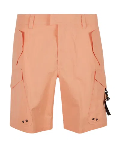 Dior Bag Detail Shorts In Pink