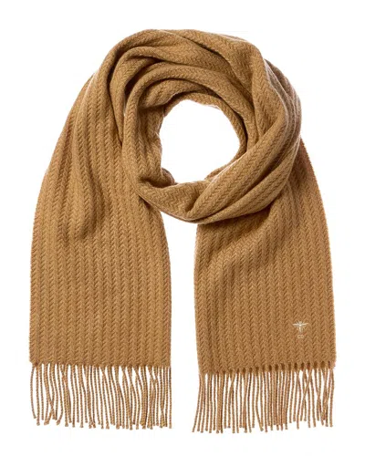 Dior Bee Cashmere Scarf In Brown