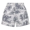 Dior Belt-loop Shorts In Gray