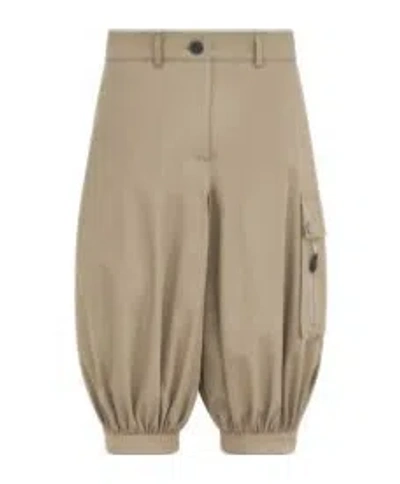 Dior Bermuda Shorts In Animal Print