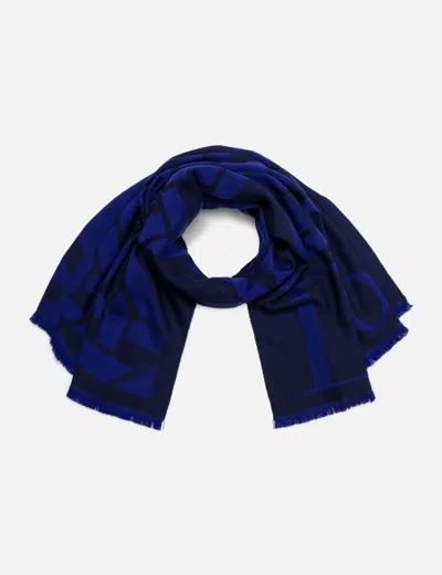 Dior Big Logo Scarf In Blue