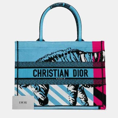 Pre-owned Dior Blue Medium Embroidered Canvas Zebra D Jungle Pop Book Tote