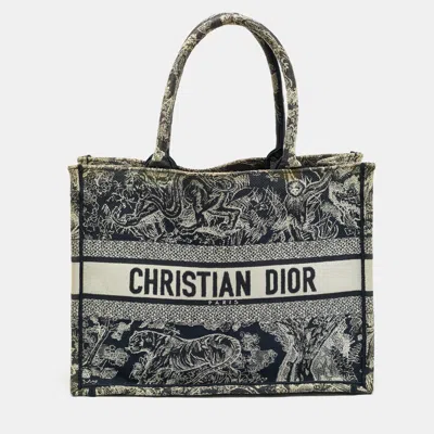 Pre-owned Dior Blue/beige Embroidered Toile De Jouy Canvas Medium Book Tote