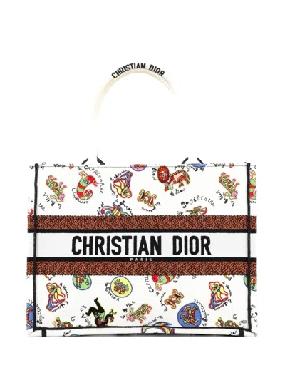Pre-owned Dior Book Embroidered Canvas Medium Tote Bag In Multi