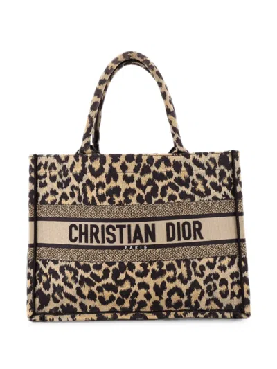 Pre-owned Dior Book Mizza Embroidered Canvas Medium Tote Bag In Brown