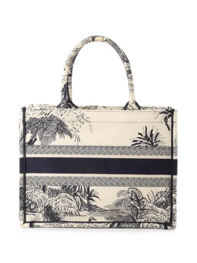 Pre-owned Dior Book Tote Tote Bag In Neutrals