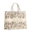 Dior Booktote Handbag In Nude
