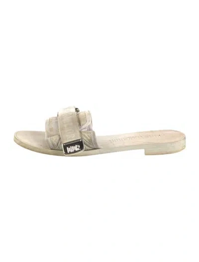 Pre-owned Dior Cannage Pattern Slides In Metallic/neutrals