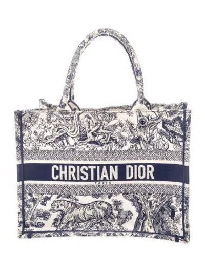 Pre-owned Dior Canvas Book In Blue/white