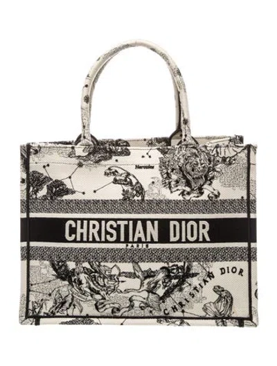 Pre-owned Dior Canvas Book In Neutrals