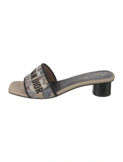 Pre-owned Dior Canvas Floral Print Slides In Blue