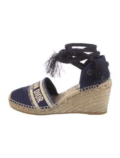 Pre-owned Dior Canvas Graphic Print Mules In Blue