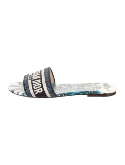 Pre-owned Dior Canvas Graphic Print Mules In Blue
