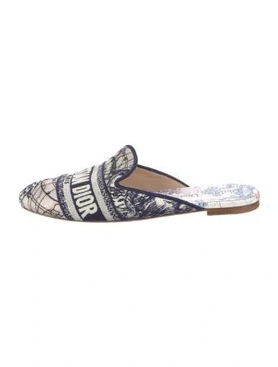 Pre-owned Dior Canvas Graphic Print Mules In Blue