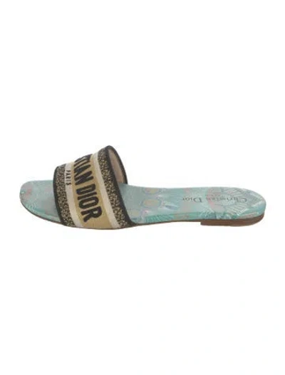 Pre-owned Dior Canvas Graphic Print Slides
