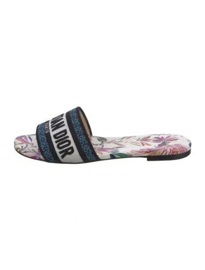 Pre-owned Dior Canvas Graphic Print Slides In Blue