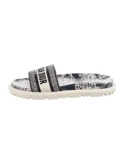Pre-owned Dior Canvas Graphic Print Slides In Blue