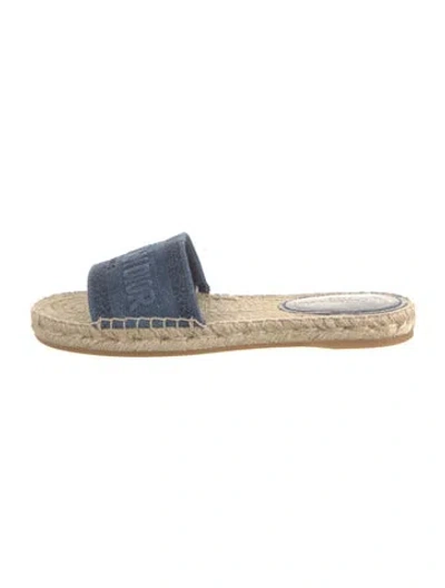 Pre-owned Dior Canvas Graphic Print Slides In Blue
