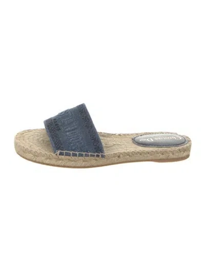 Pre-owned Dior Canvas Graphic Print Slides In Blue