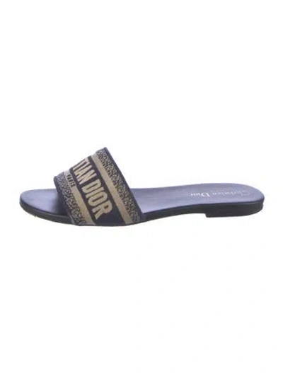 Pre-owned Dior Canvas Graphic Print Slides In Blue