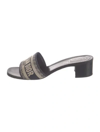 Pre-owned Dior Canvas Graphic Print Slides In Blue
