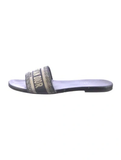 Pre-owned Dior Canvas Graphic Print Slides In Blue