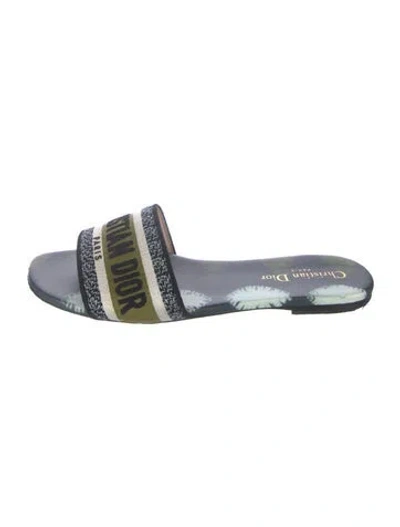 Pre-owned Dior Canvas Graphic Print Slides In Blue