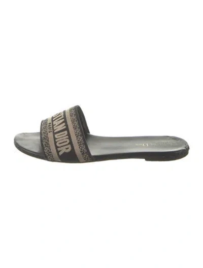 Pre-owned Dior Canvas Graphic Print Slides In Blue