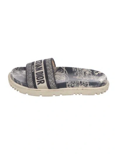 Pre-owned Dior Canvas Graphic Print Slides In Blue