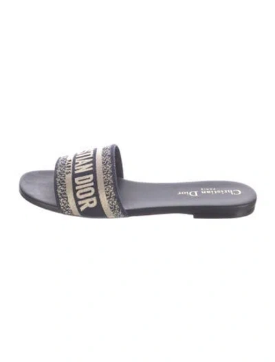 Pre-owned Dior Canvas Graphic Print Slides In Blue